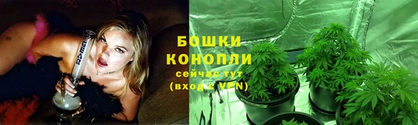 spice Алексеевка