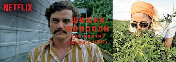 трава Алексин